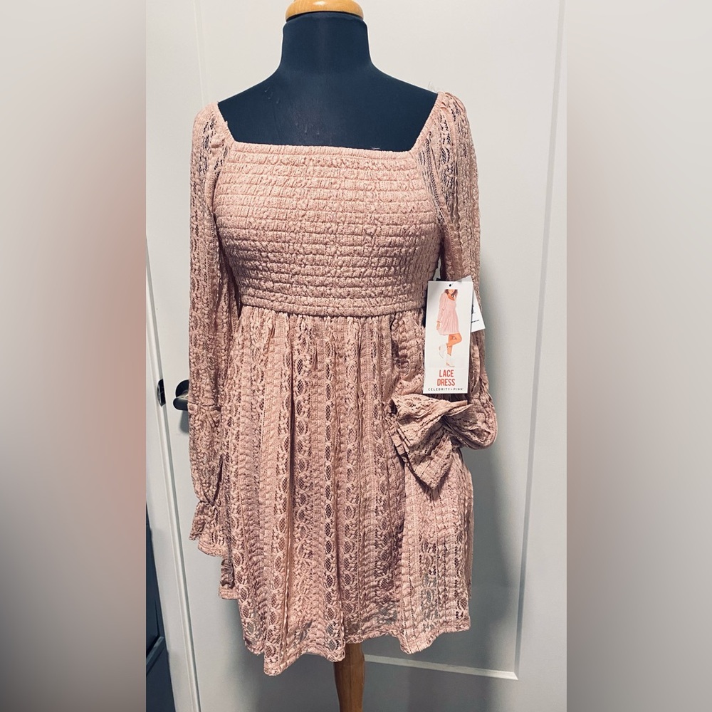 Blush Lace Long Sleeve Dress